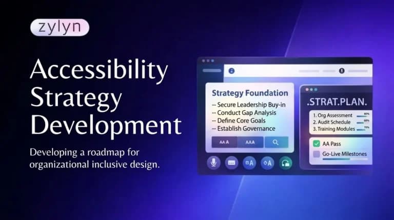 Accessibility Strategy Development : Long-Term Implementation